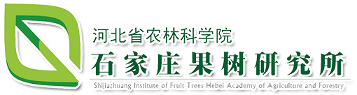 東莞高進自動化機械設備有限公司